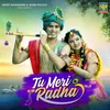 About Tu Meri Radha Song